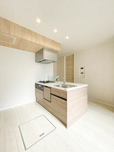 Ｎ　ｍａｉｓｏｎ　Ⅵ 107号-3