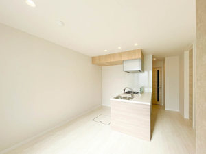 Ｎ　ｍａｉｓｏｎ　Ⅵ 107号-4