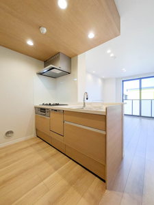 Ｎ　ｍａｉｓｏｎ　Ⅵ 201号-3