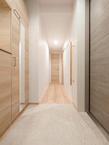 Ｎ　ｍａｉｓｏｎ　Ⅵ 301号-10