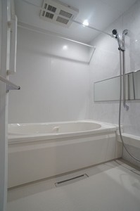 トラストメゾン白木蓮Ⅱ 102号-8