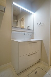 トラストメゾン白木蓮Ⅱ 102号-10