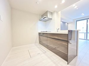 プレミアス幕張本郷 202号-3