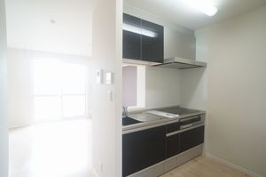 フルールⅤ番館 205号-3