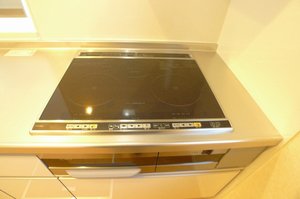 ルミエール・ブランシュ 102号-6