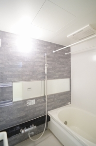 ヴィルフォーレⅡ 102号-9