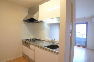 ベルデ　ヤマダ 302号-5