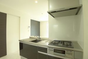 プロスペール 101号-5