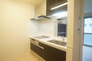 ＭＤ早野 202号-5