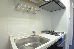 Ｎｅｗ　Ｒｉｃｈ 301号-7