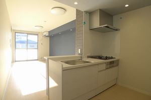 はなみずきＢ 102号-3