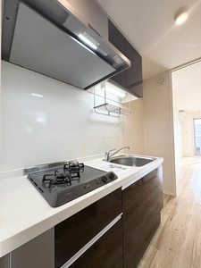 ルピナス 207号-6