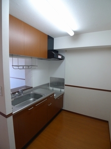 ヴィラ・レイクサイド 203号-3