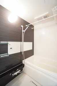 ラピス アウラ 205号-9