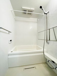 ラピス アウラ 301号-9