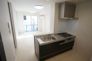 ラリュールⅠ 102号-5