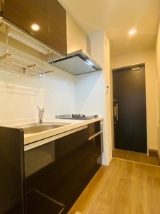 シリウスⅡ 202号-4