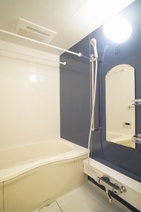 ディアナＢ 203号-8