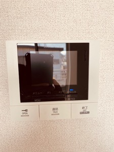 Ａｖｅｎｉｒ 207号-10