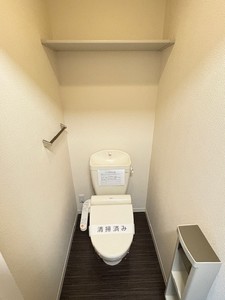 トラスティ Ⅱ 207号-10