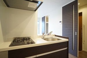 ルミエール南町 102号-5