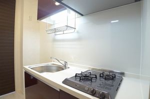 New RichⅢ 203号-6