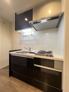 ネトルリーフ 201号-7