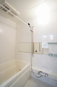 ネトルリーフ 205号-7