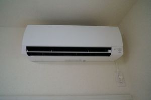 パトリ・マメ 103号-6