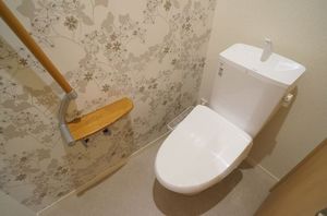 ラフィーネ柏中央 203号-3