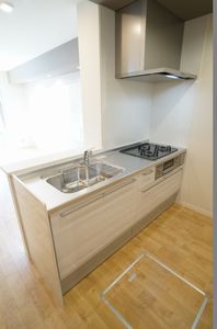 ラフィーネ柏中央 203号-5