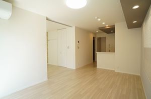 ラフィーネ柏中央 205号-10