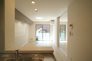 ラフィーネ柏中央 205号-11