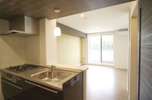 ラ グリシーヌ 307号-2