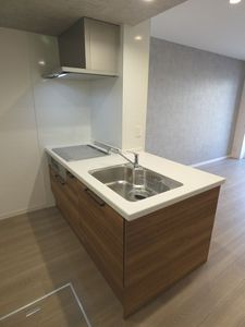 ローリエン 101号-4