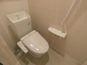 ローリエン 102号-9