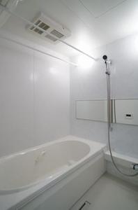 Ｊ．Ｄ．Ｌｕｍｉｎｅａｒｔｈ 105号-10