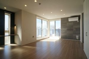 J.D.Luminearth 301号-2