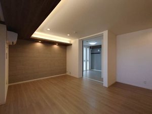 ＧＲＡＮＤＩＳ 206号-4