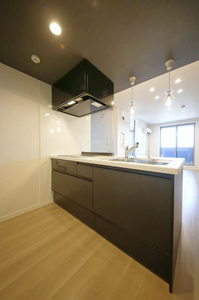 シャーメゾンサウス 302号-3