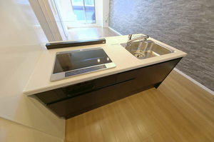 シャーメゾンサウス 402号-3