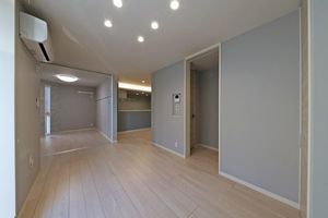 ウノ・アドーラ柏 301号-3