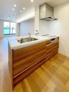 シャーメゾン アクシスⅡ 205号-4