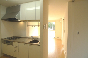 メゾンヨコマチ 102号-10