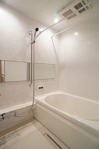 ブランニューデイズ 103号-8