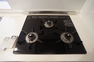 ブランニューデイズ 202号-11