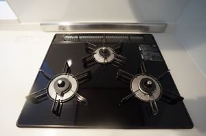 ブランニューデイズ 206号-11