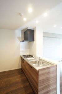 レイクマハール 106号-3