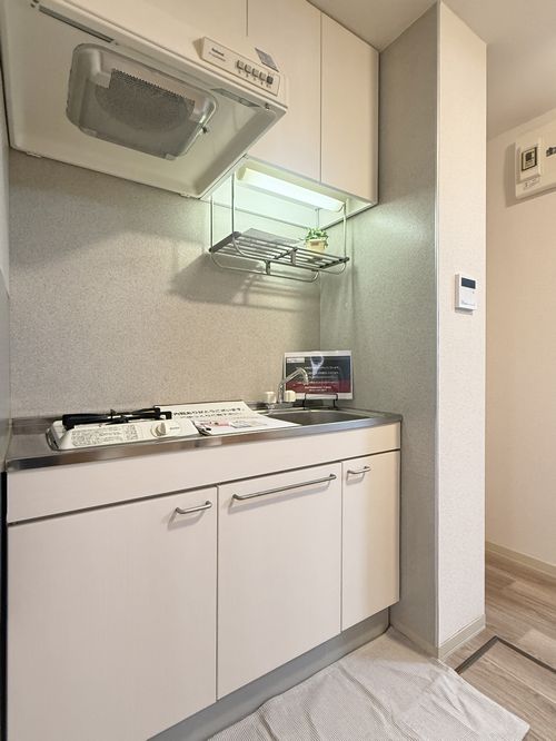 カメリヤハイツ 102号-6