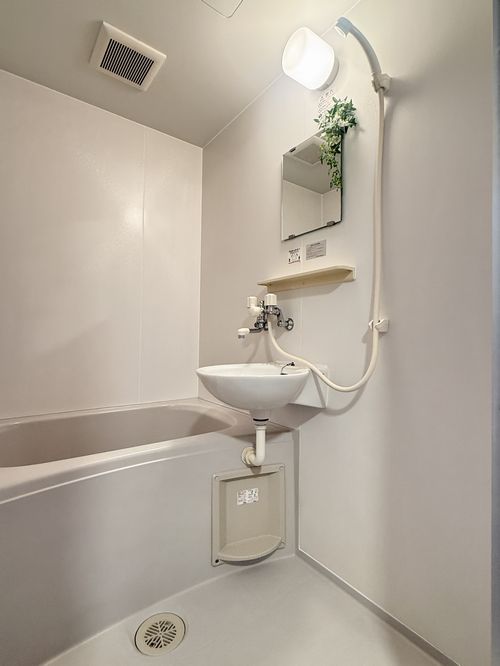 カメリヤハイツ 102号-9